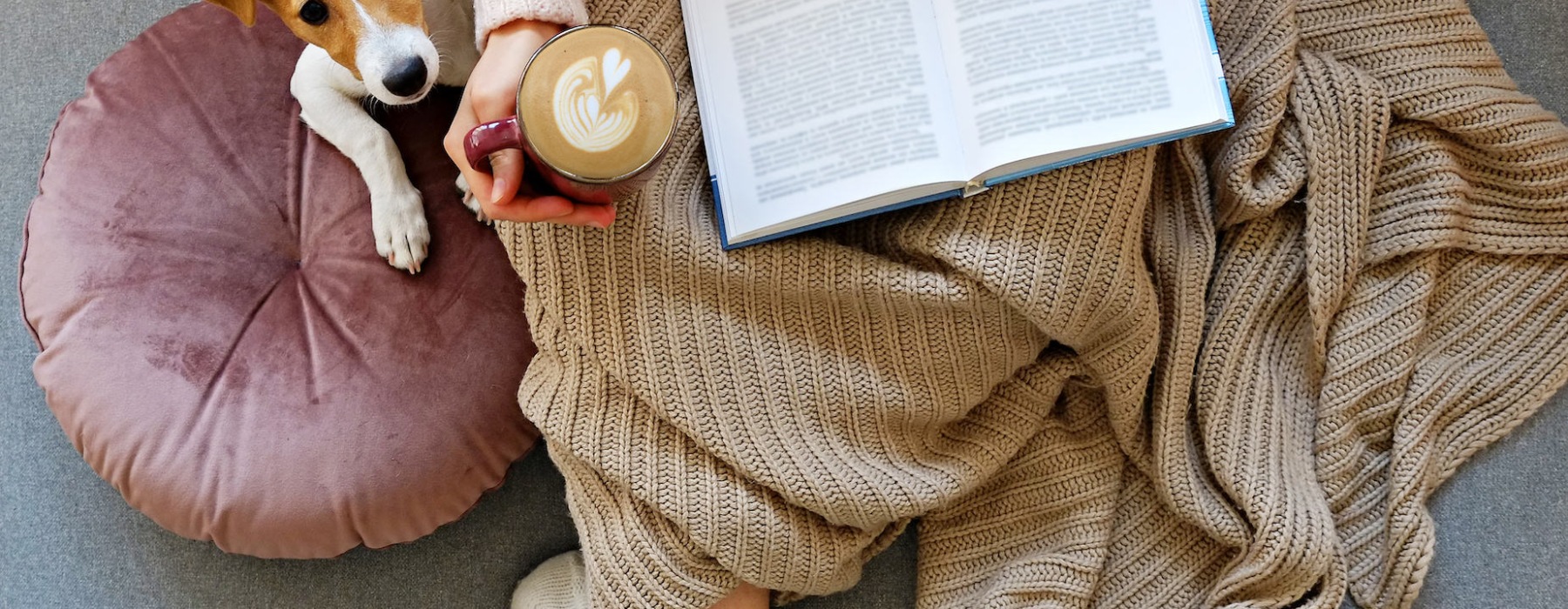 Person reading book with coffee and dog